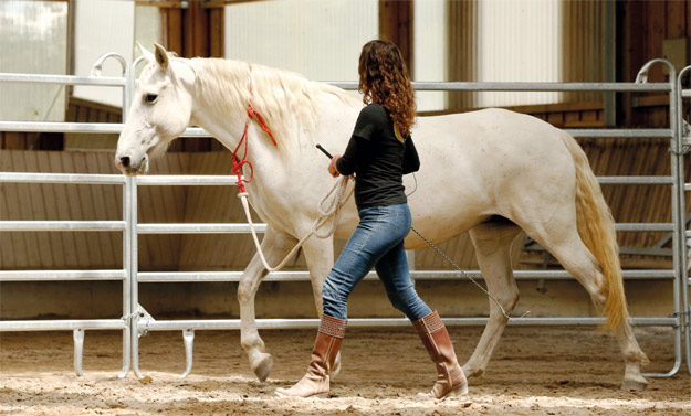 kenzie-dysli-seminarablauf-andalusien